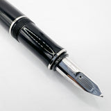 Pelikan P3100 Ductus Fountain Pen -  Medium 18kt Gold Nib