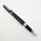 Waterman Oversized Exception Black Fountain Pen - Alternating Sides of Charcoal Stripes -Medium 18kt Gold Nib