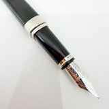Waterman Oversized Exception Black Fountain Pen - Alternating Sides of Charcoal Stripes -Medium 18kt Gold Nib