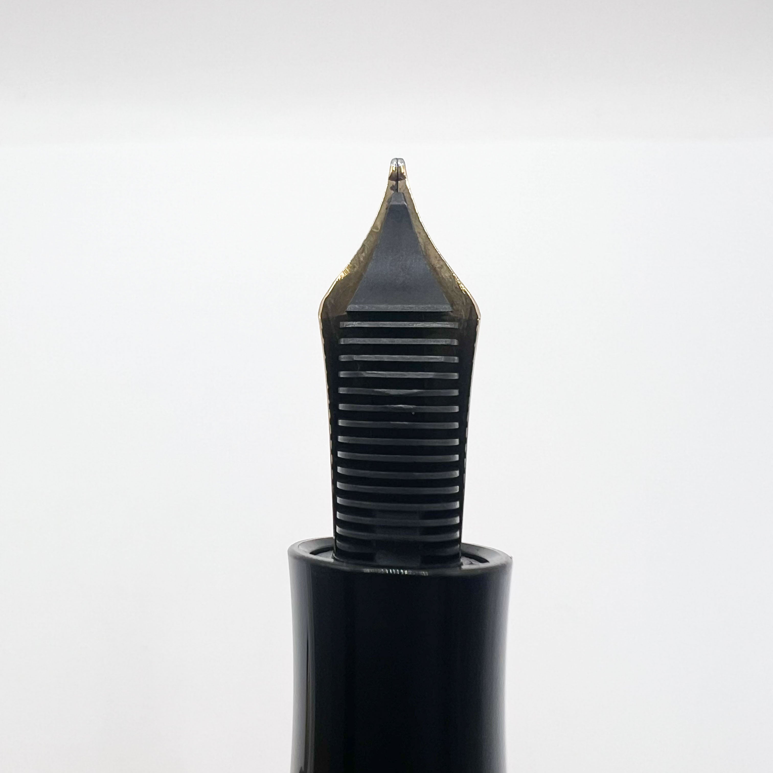 Montblanc Voltaire Writers Series Limited Edition Fountain Pen