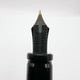 Aurora 75th Anniversary Optima Red Marble Auroloide Limited Edition Fountain Pen - Extra Fine 18kt Gold Nib