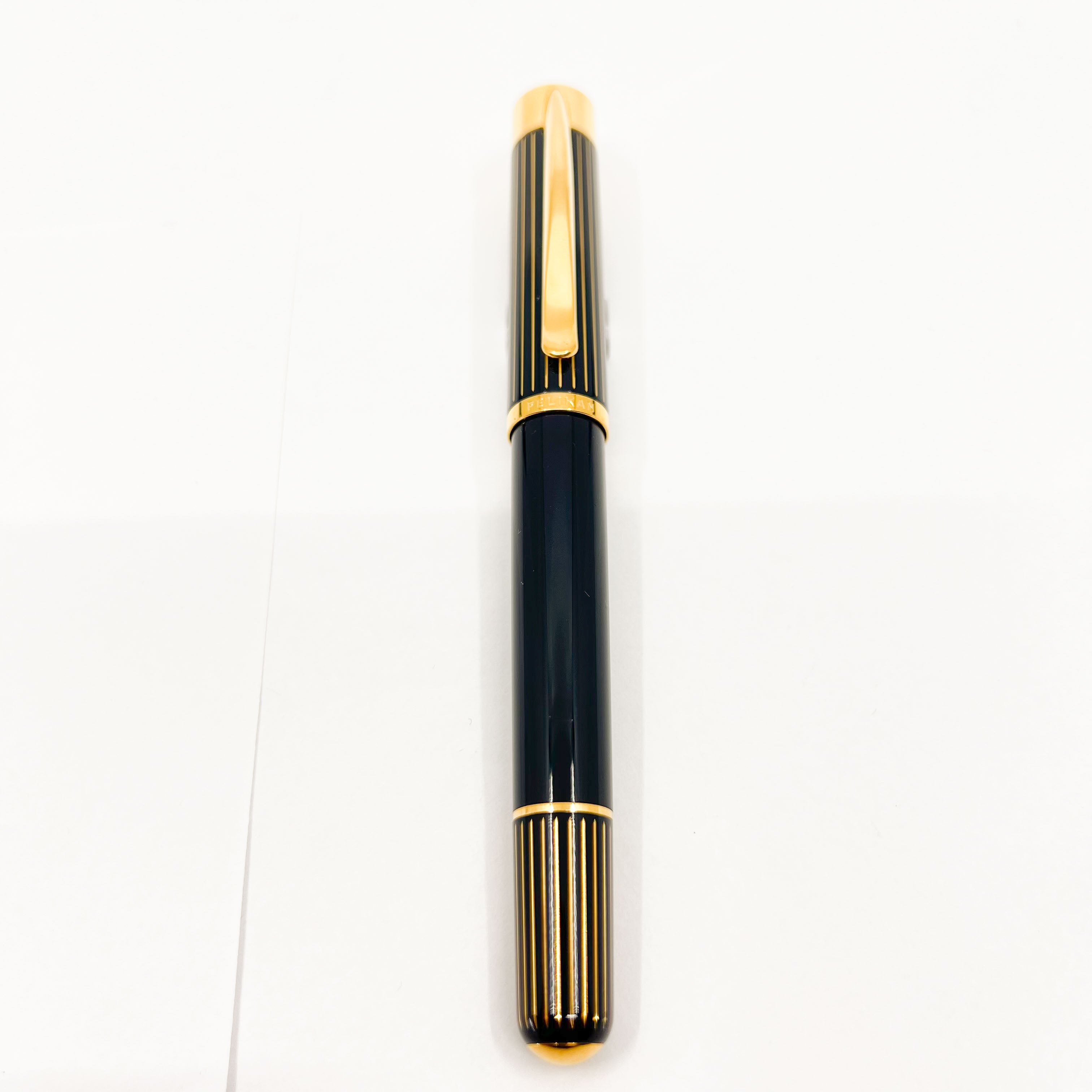Pelikan M3110 Ductus Fountain Pen – Fountain Pen Hospital