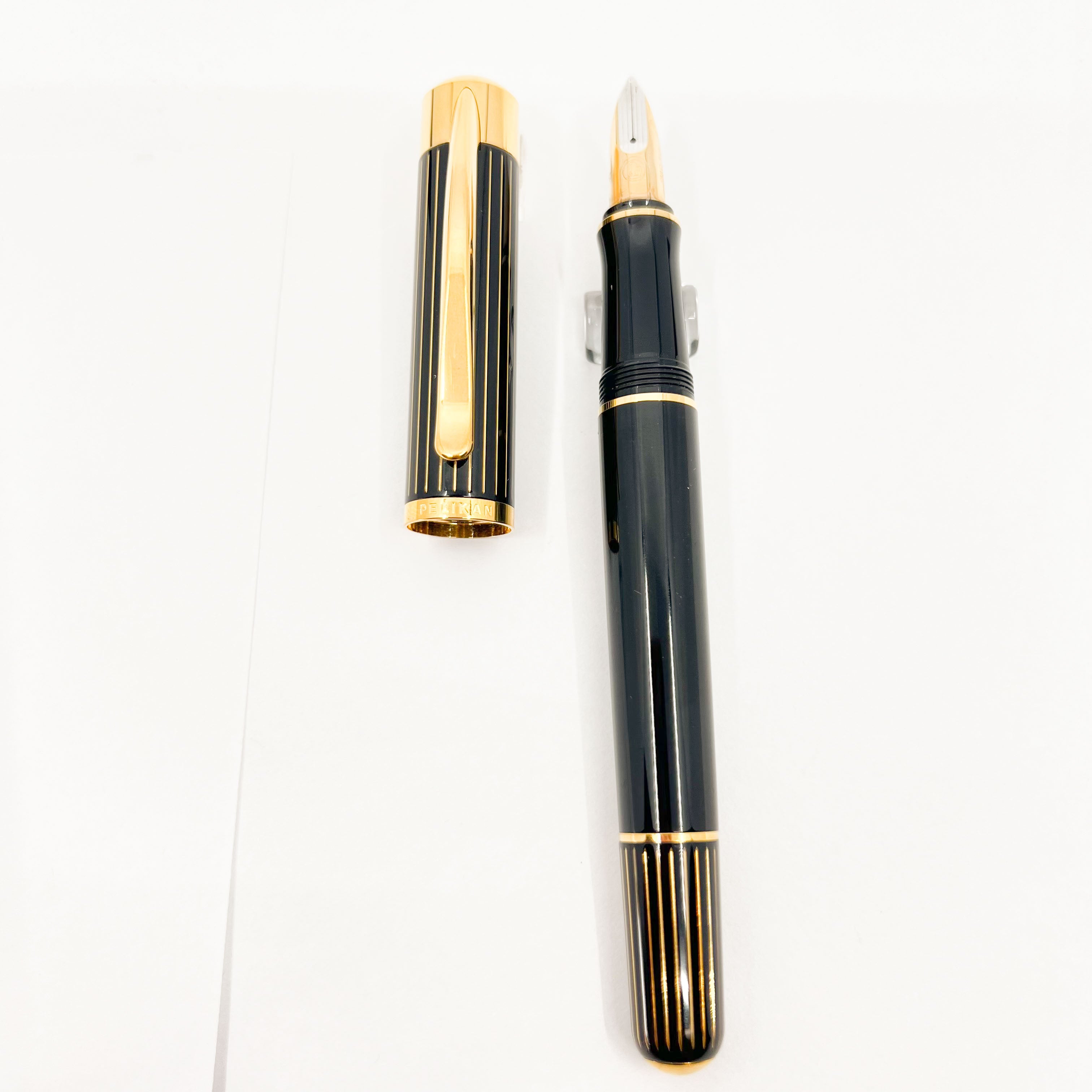 Pelikan M3110 Ductus Fountain Pen – Fountain Pen Hospital