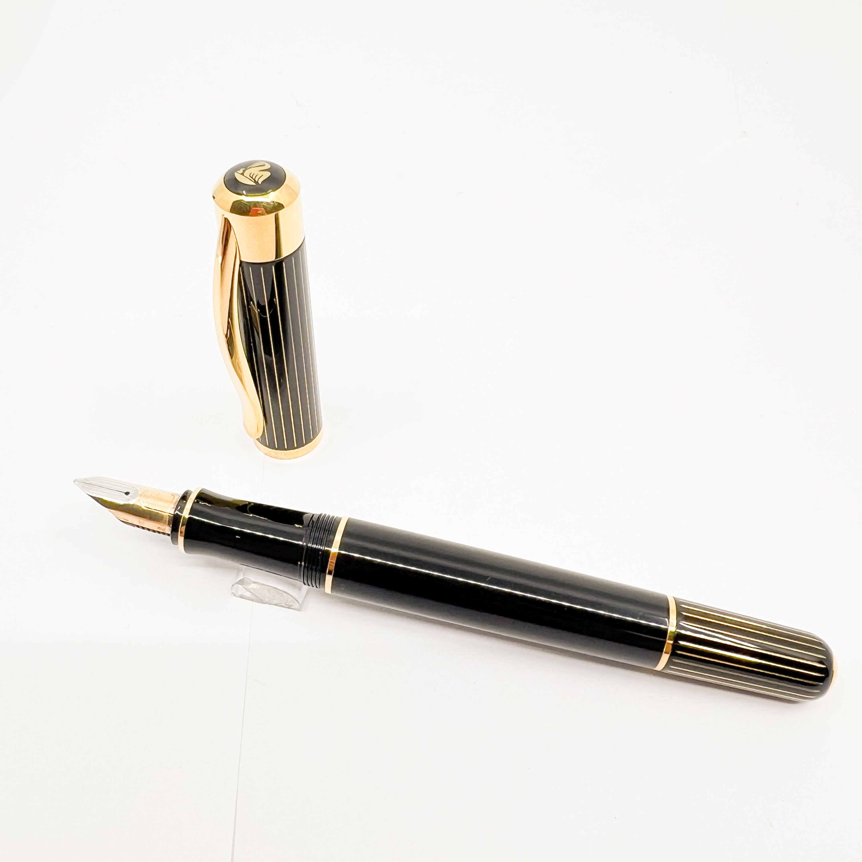 Pelikan M3110 Ductus Fountain Pen – Fountain Pen Hospital