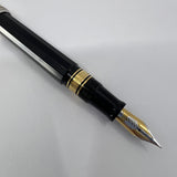 OMAS Doue Facetted Large Paragon Fountain Pen - Sterling Silver Cap - Fine 18kt Gold Nib