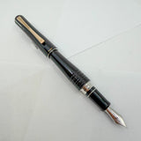 Pilot Black Lacquered Bamboo Metal Oversized Fountain  Pen - Fine 18kt Gold Nib