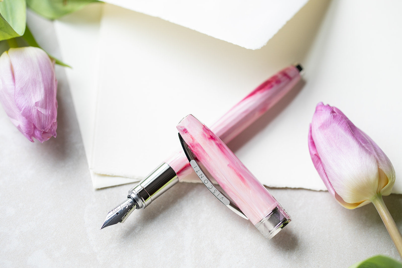 VISCONTI Souvenir de Mauve ボールペン Visconti Van Gogh Souvenir de Mauve Fountain Pen
