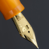 Delta Bajau L.E. Indigenous People Collection 2026 Fountain Pen