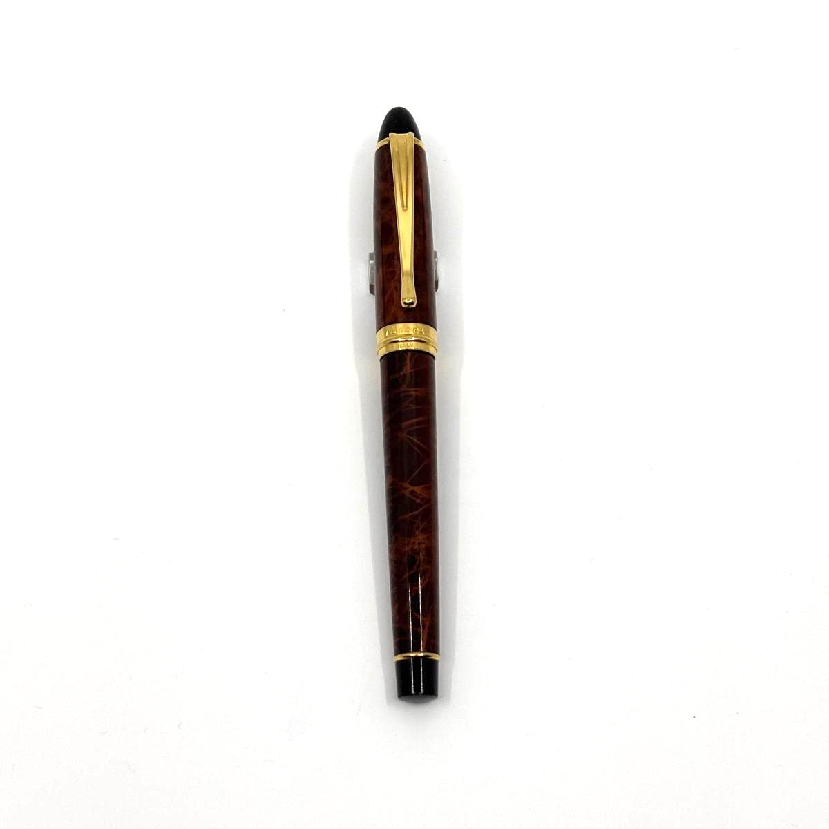 Aurora Ipsilon Deluxe Turtle Brown Fountain Pen