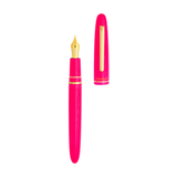 Esterbrook Funky Town Estie Pink Fountain Pen Collection