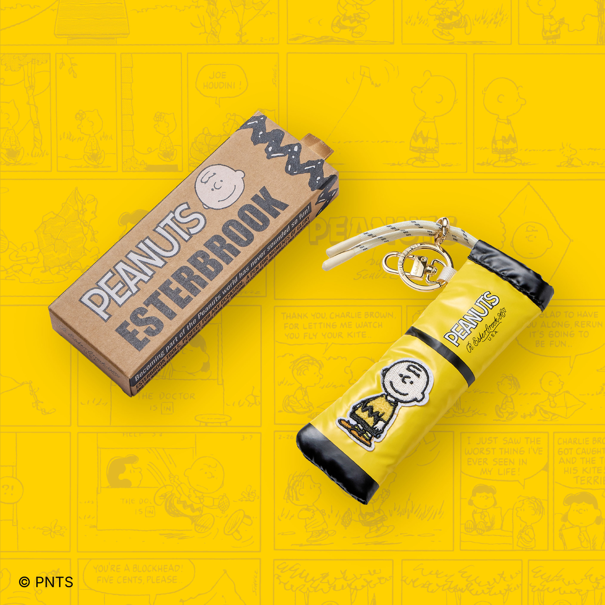 Esterbrook Peanuts Case Vintage-Charlie Brown Edition Accessory