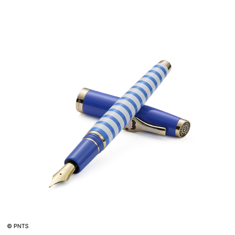 Esterbrook Estie Peanuts Lucy Fountain Pen Collection