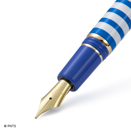 Esterbrook Estie Peanuts Lucy Fountain Pen Collection