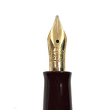 Pelikan M101N Tortoiseshell Brown Special Edition Fountain Pen - Very Sought After!