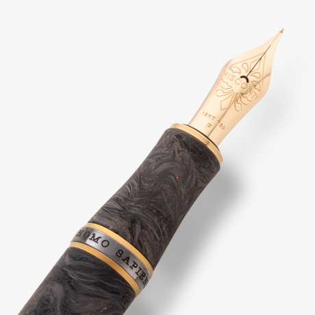 Visconti Homo Sapiens Carbon Moiré Fountain Pen