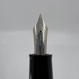 Delta Oversized DolceVita Sterling Silver Trim Fountain Pen - Fine 14kt Gold Nib