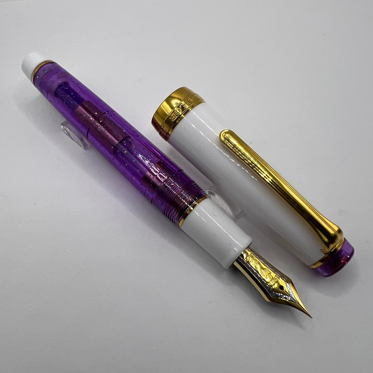 Sailor Purple Rain Pro Gear Fountain Pen -  Extra Fine 21kt Gold Nib