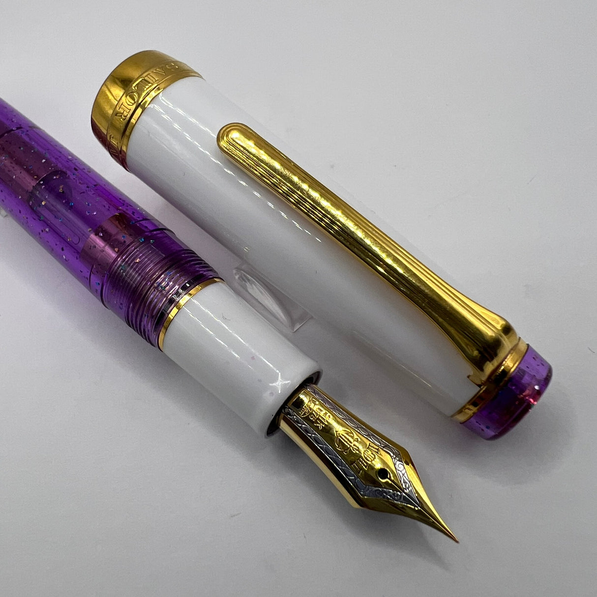 Sailor Purple Rain Pro Gear Fountain Pen -  Extra Fine 21kt Gold Nib
