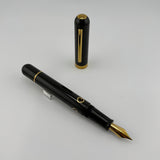 Nahvalur Nautilus Aubergine Ebonite gold trim  - Fountain Pen
