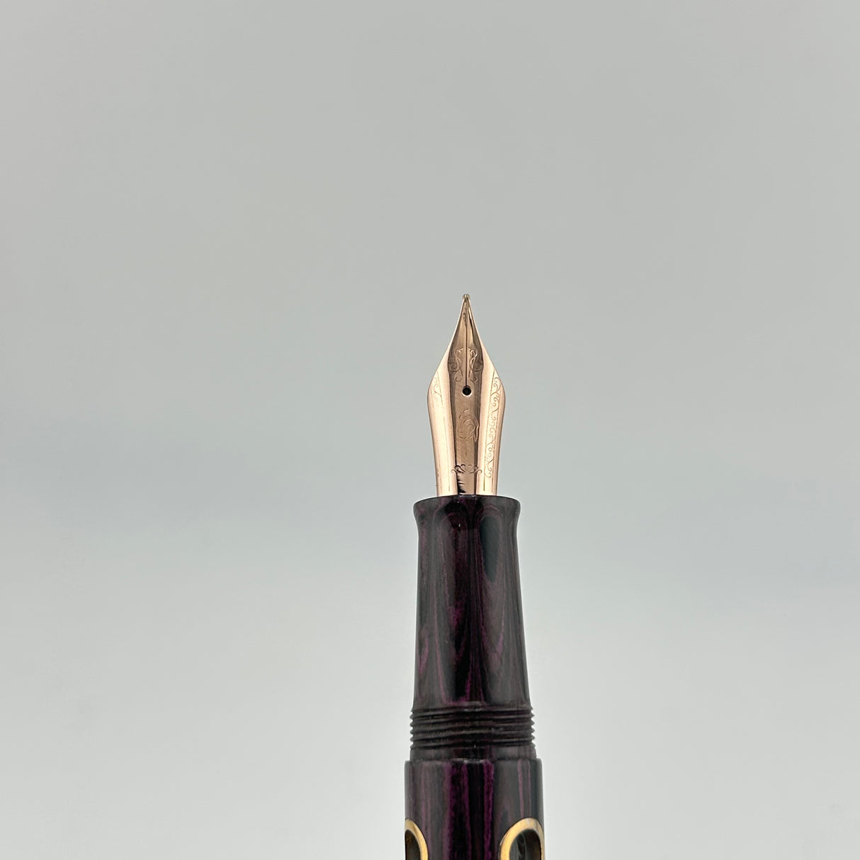 Nahvalur Nautilus Stylophora Berry - Fountain Pen
