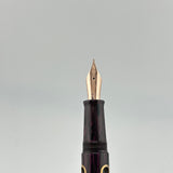 Nahvalur Nautilus Stylophora Berry - Fountain Pen
