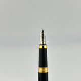 Jimmy's pick - Colibri Scrooge McDuck -  Beautiful ! - Fountain Pen