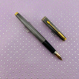 Parker 75 Sterling silver cisele  - fountain Pen