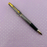 Parker 75 Sterling silver cisele  - fountain Pen