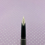 PILOT Custom Silver Black lines Circa 1976 - fountain Pen