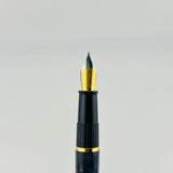 Waterman Phileas Grey Marble - Fountain Pen