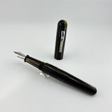 Ranga Pen India Green leaves Resin  - Fountain Pen