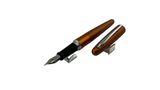 Pilot Metallic Orange  Cocoon- Fountain Pen