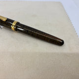 Platinum 3776 Gold Striped Celluloid - THE rarest color of celluloid in the Series-14 kt Gold Music NIB !!