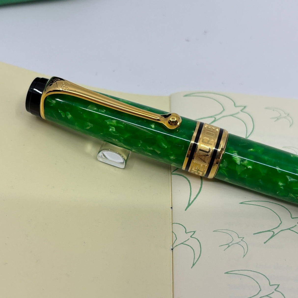 Aurora Verde e Oro Primavera  Fountain Pen Limited Edition -  Broad 18kt Gold Nib
