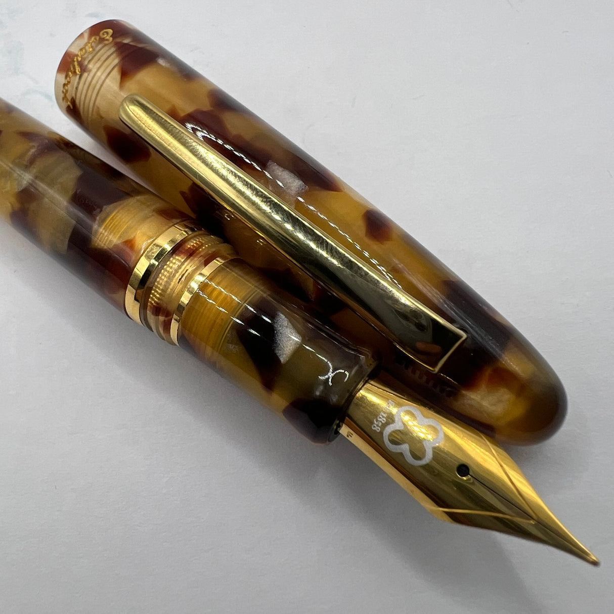Esterbrook Estie Tortoise Regular Size Fountain Pen   -  Fine Gold-Plated Nib