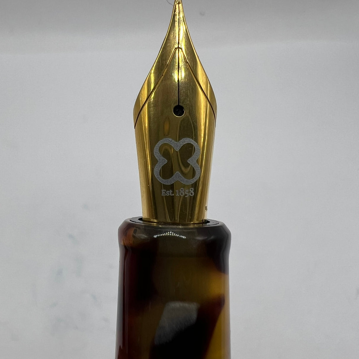 Esterbrook Estie Tortoise Regular Size Fountain Pen   -  Fine Gold-Plated Nib