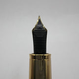 Montblanc Masters of Art Homage to Gustav Klimt Limited Edition 4810 Fountain Pen