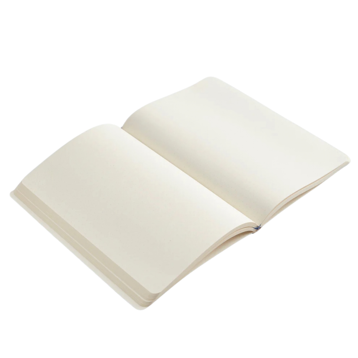 My Paperclip Executive Series Notebook (Soft Cover) - Medium (With Back Pocket) 127 x 210 mm Collection