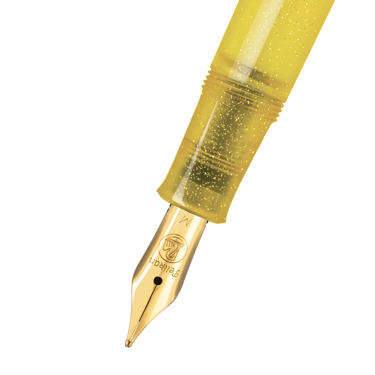 Pelikan Classic M200 Pyrite Fountain Pen Collection