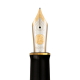 Pelikan M1000 Raden Stardust Fountain Pen Collection