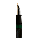 Pelikan M1000 Raden Stardust Fountain Pen Collection