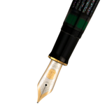 Pelikan M1000 Raden Stardust Fountain Pen Collection