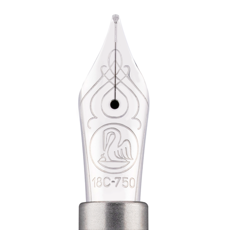 Pelikan Special Edition Souverän M805 Metal Sleeve Fountain Pen Collection