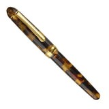 Platinum 3776 Celluloid Tortoise - Fountain Pen