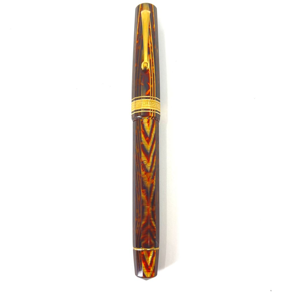 Omas Paragon Exquisite Celluloid Arco Rollerball Fountain Pen Hospital