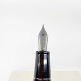 Sailor 1911 Large Black Luster Special Edition Fountain Pen - Medium 21kt Gold Nib