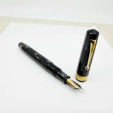 OMAS Cinema 100th Anniversary Celluloid Limited Edition Fountain Pen - Medium 18kt Gold Nib