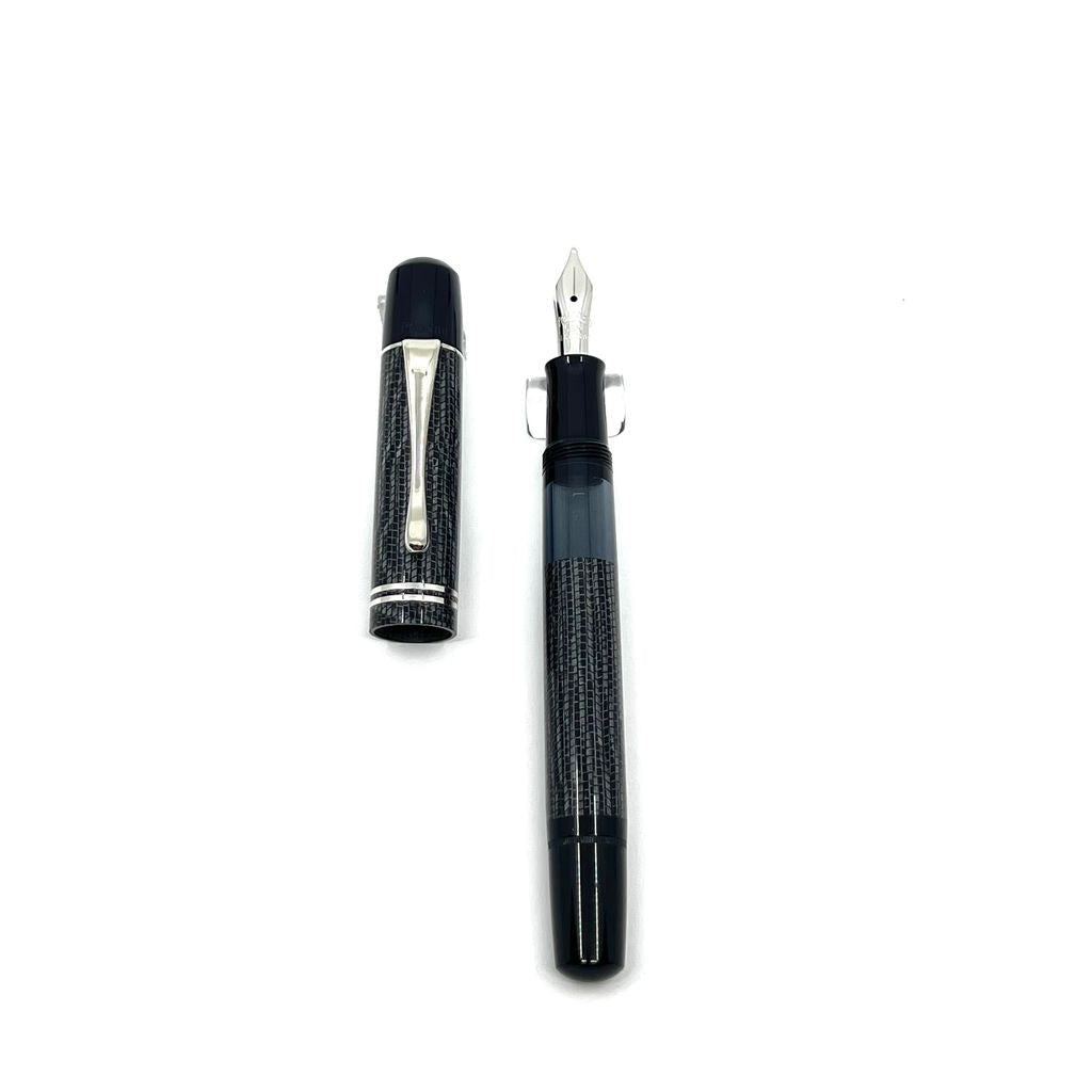 Pelikan M101N Lizard Fountain Pen – Fountain Pen Hospital