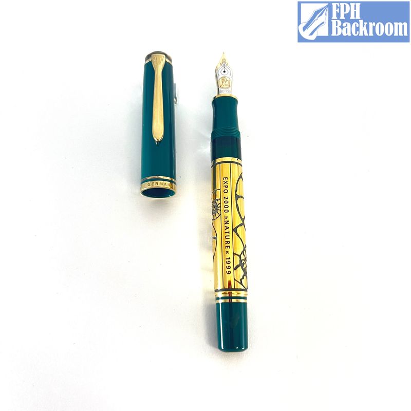 Pelikan Expo 2000 Nature Fountain Pen – Fountain Pen Hospital