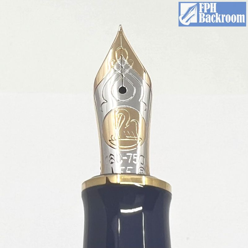 Pelikan Expo 2000 Technology Fountain Pen – Fountain Pen Hospital